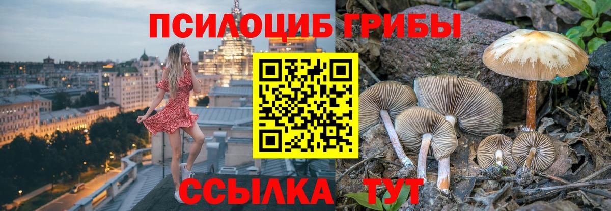 Галлюциногенные грибы MAGIC MUSHROOMS Хабаровск